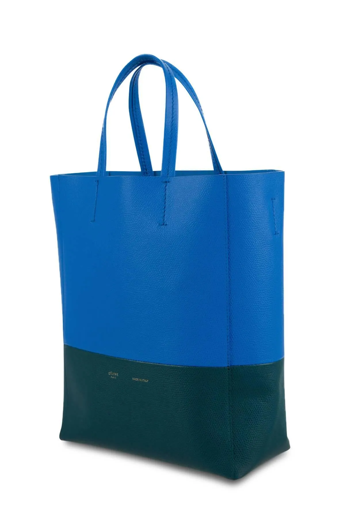 Bicolor Small Vertical Cabas Tote Blue Green