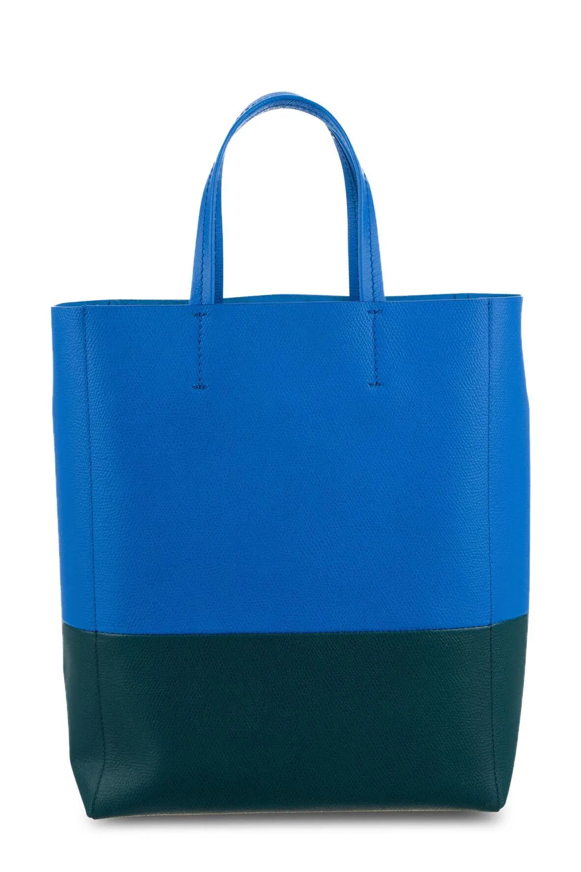 Bicolor Small Vertical Cabas Tote Blue Green