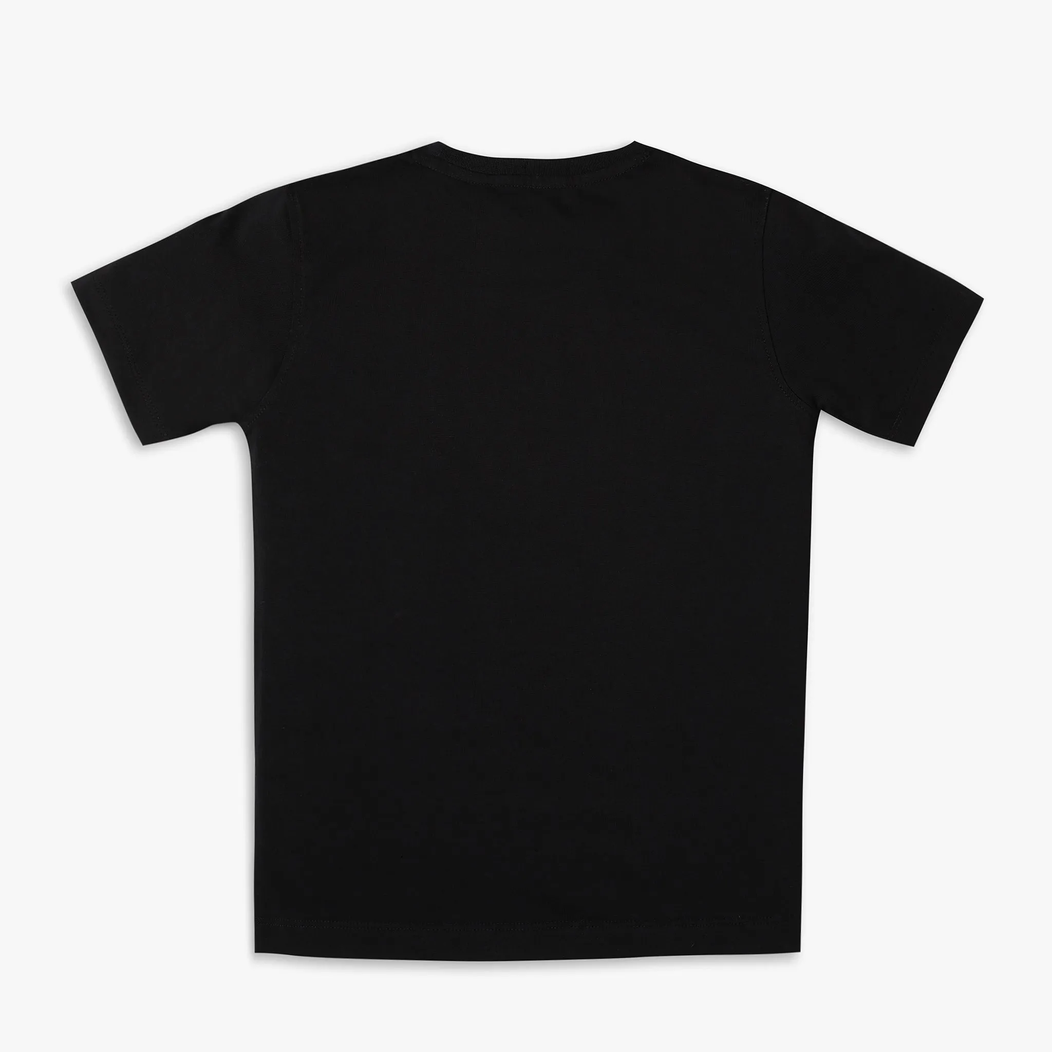 Boy's Regular Fit Graphic T-Shirt